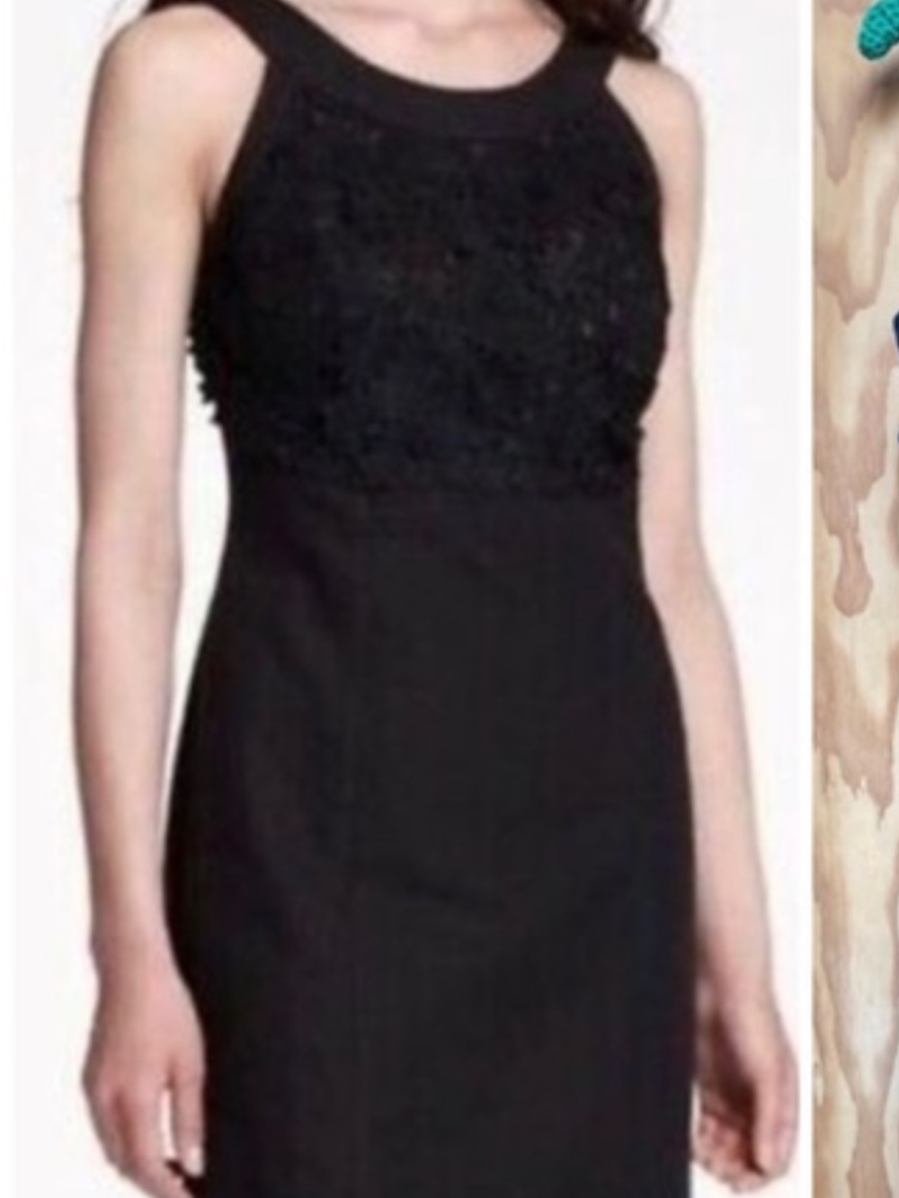 Sleeveless Black Mini Dress with Floral Lace Bodice - Picture 1 of 6